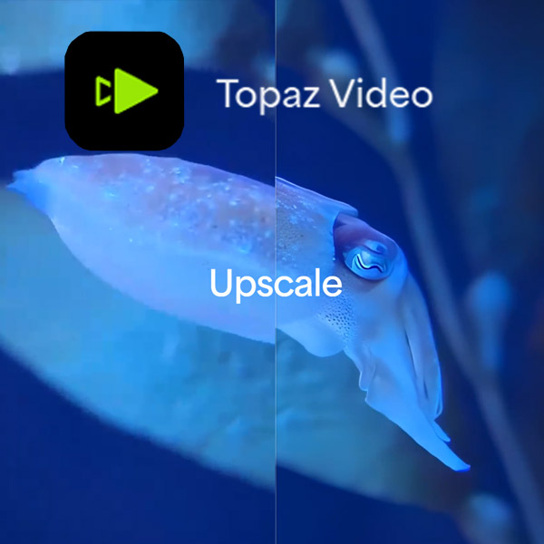 Adobe acquires Topaz Labs to embed AI upscaling into Premiere