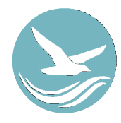 Ceeblue logo