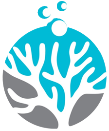 Coralbay.tv logo