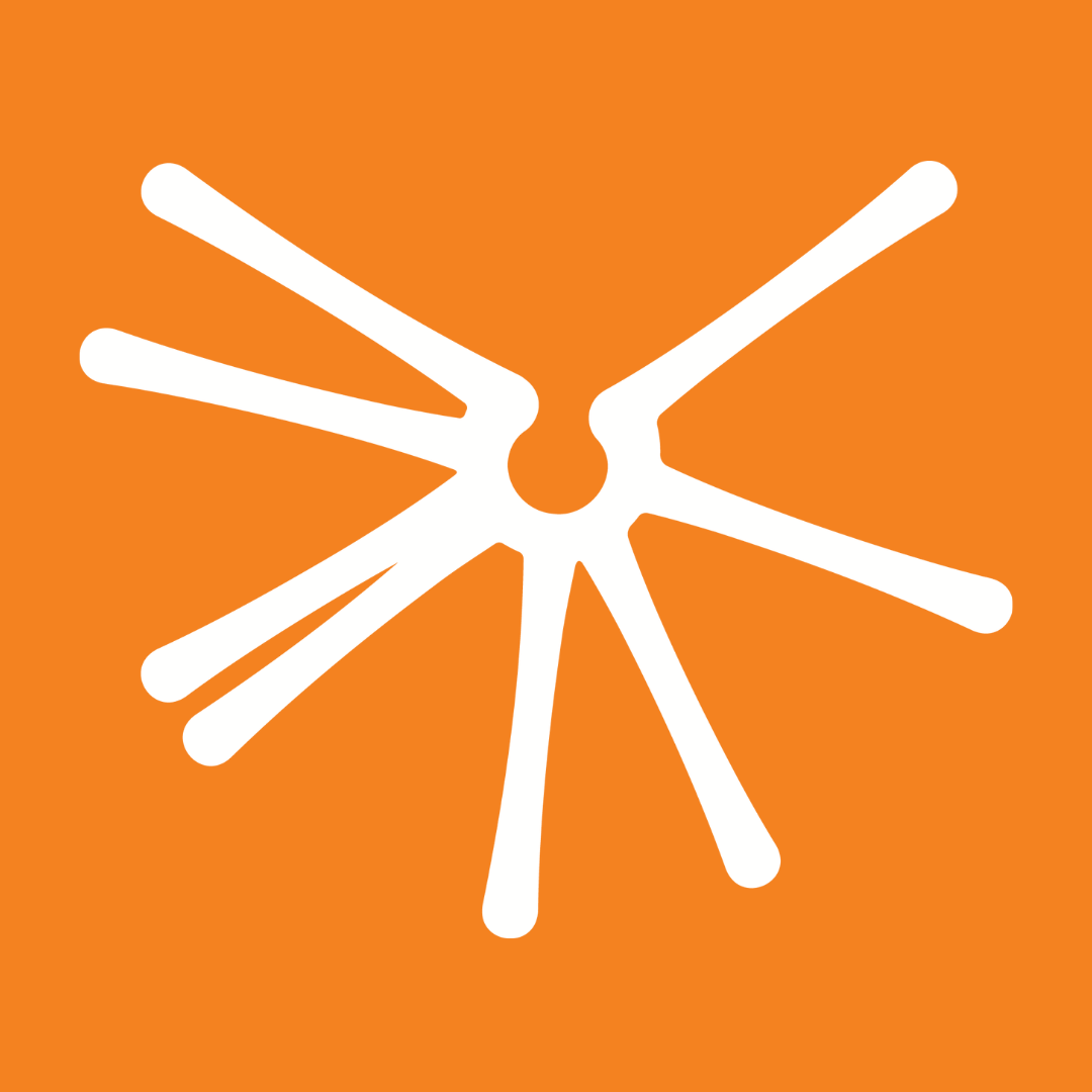 nanocosmos logo