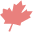 Rapid TV News logo
