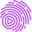 Velocix logo