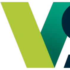 VSN (Video Stream Networks) logo