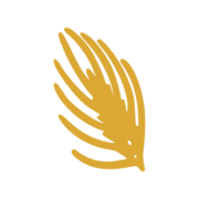 Wheatstone logo