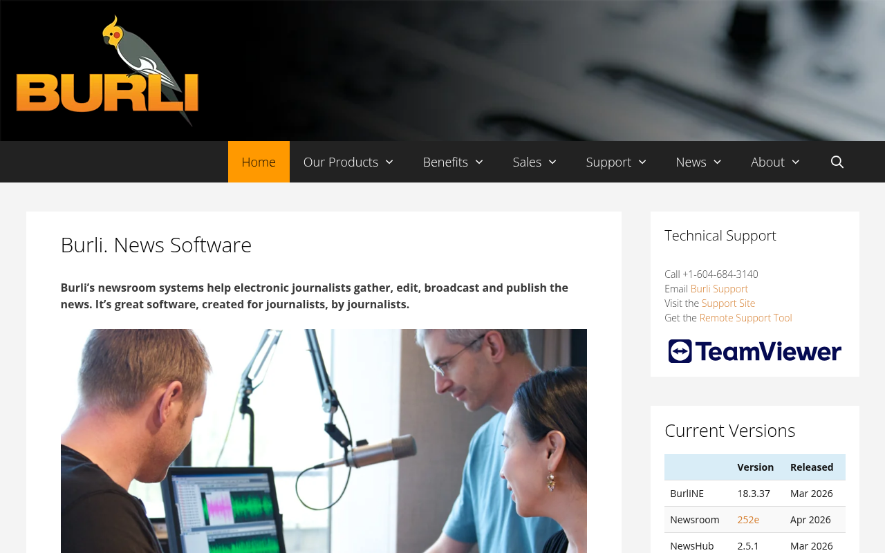 Burli Software homepage screenshot