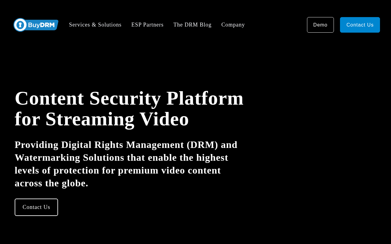 BuyDRM homepage screenshot