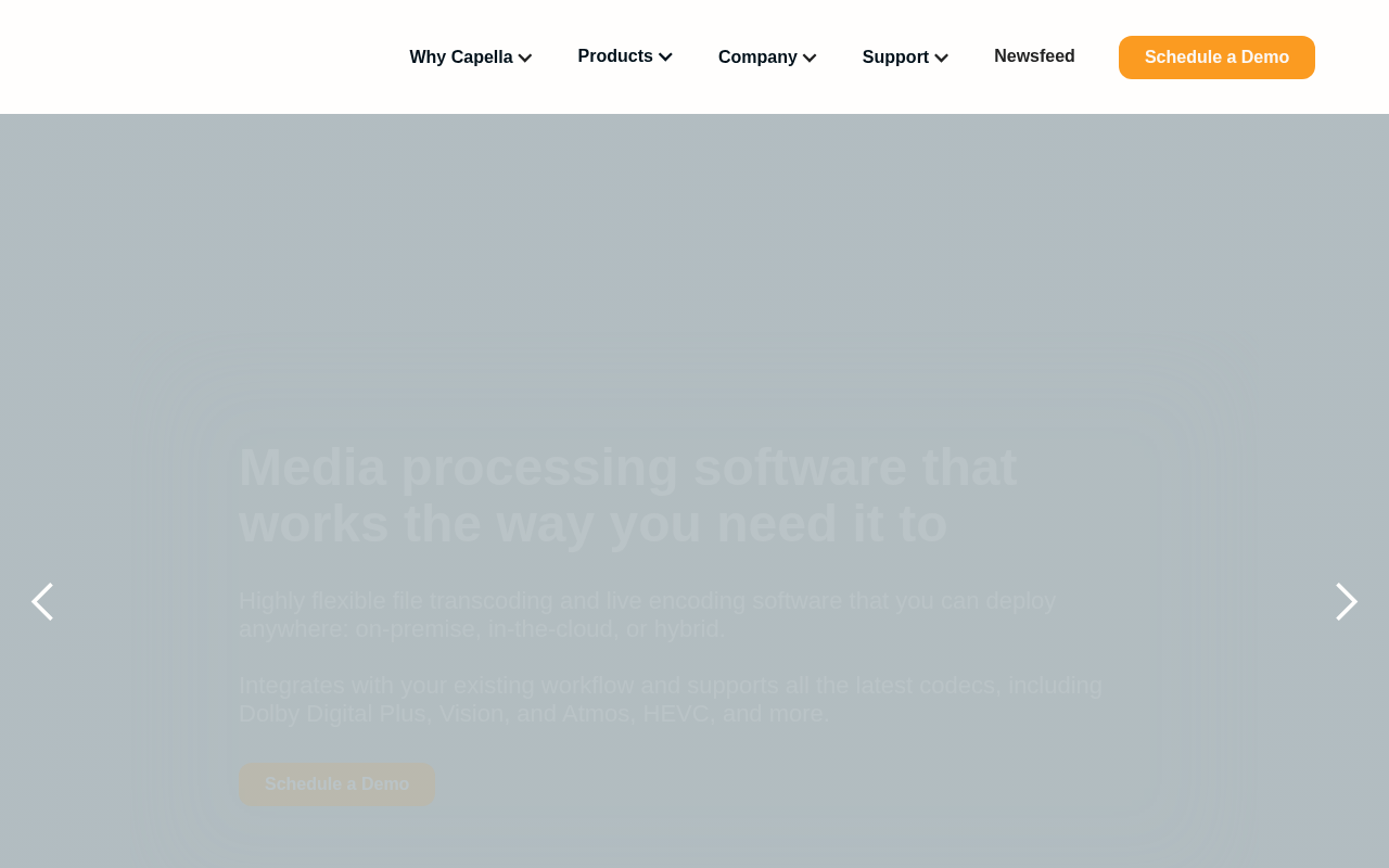 Capella Systems homepage screenshot