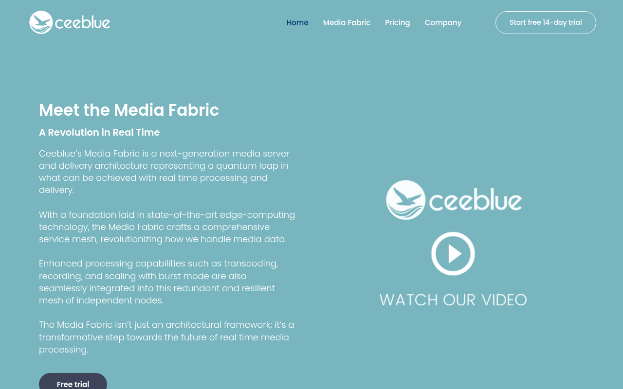 Ceeblue homepage screenshot
