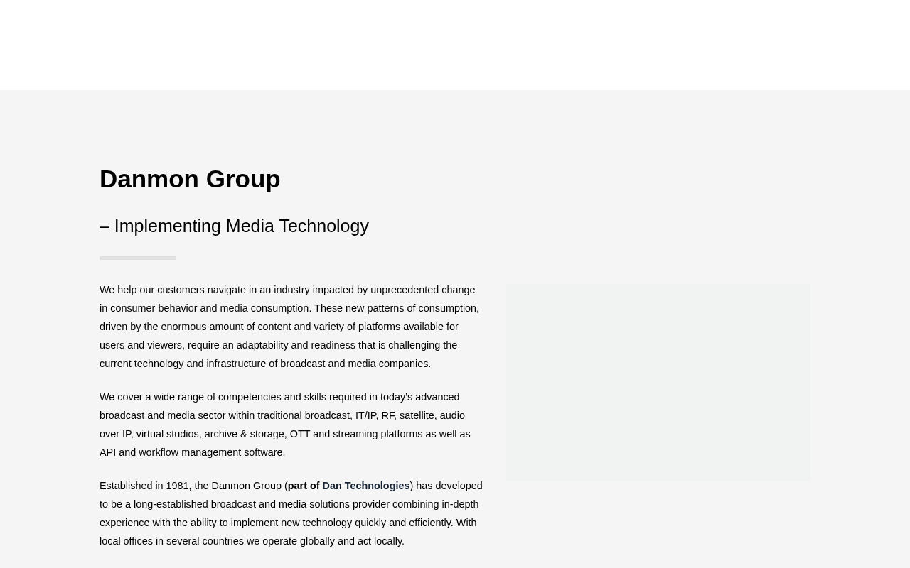 Danmon Group homepage screenshot