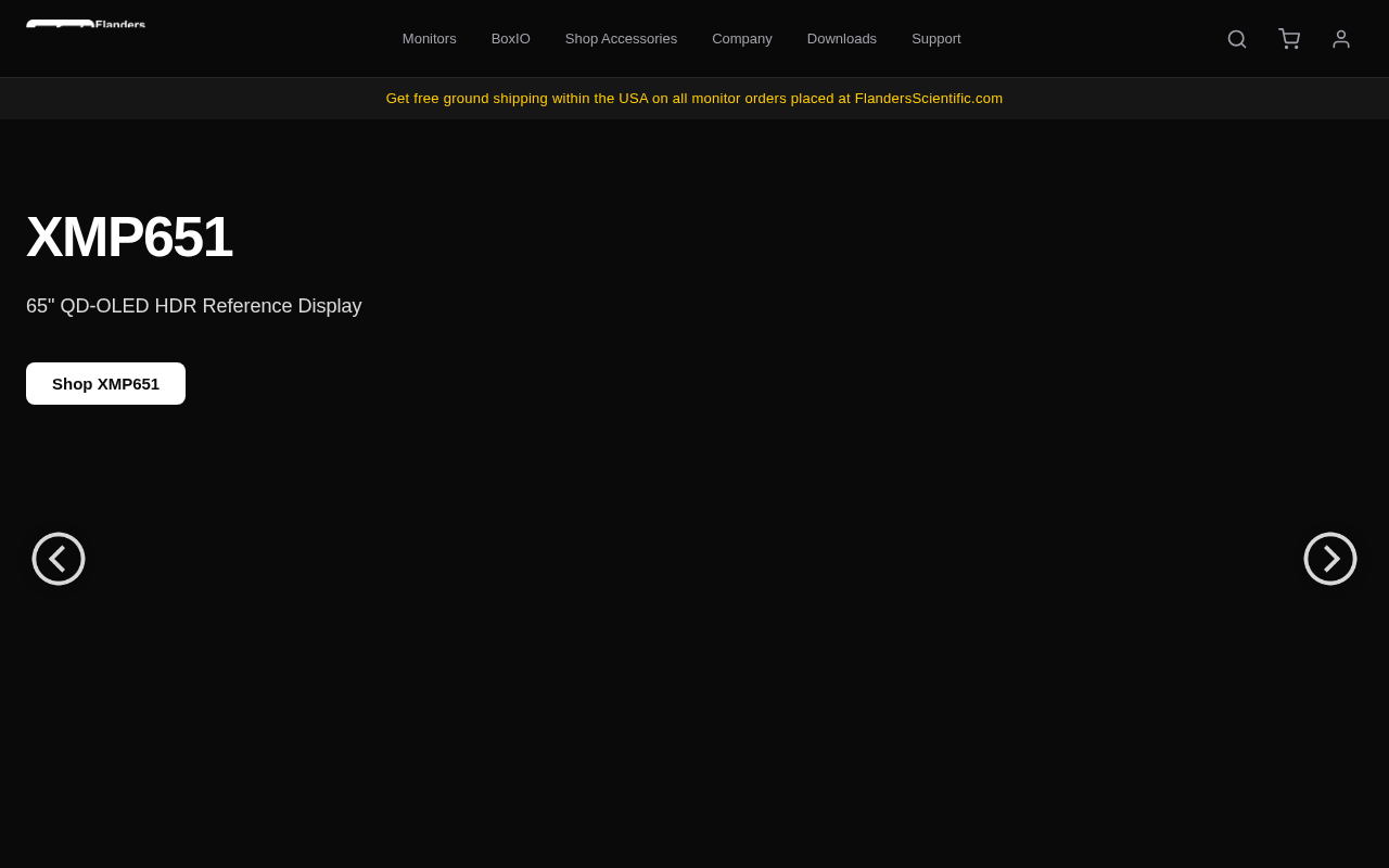 Flanders Scientific homepage screenshot