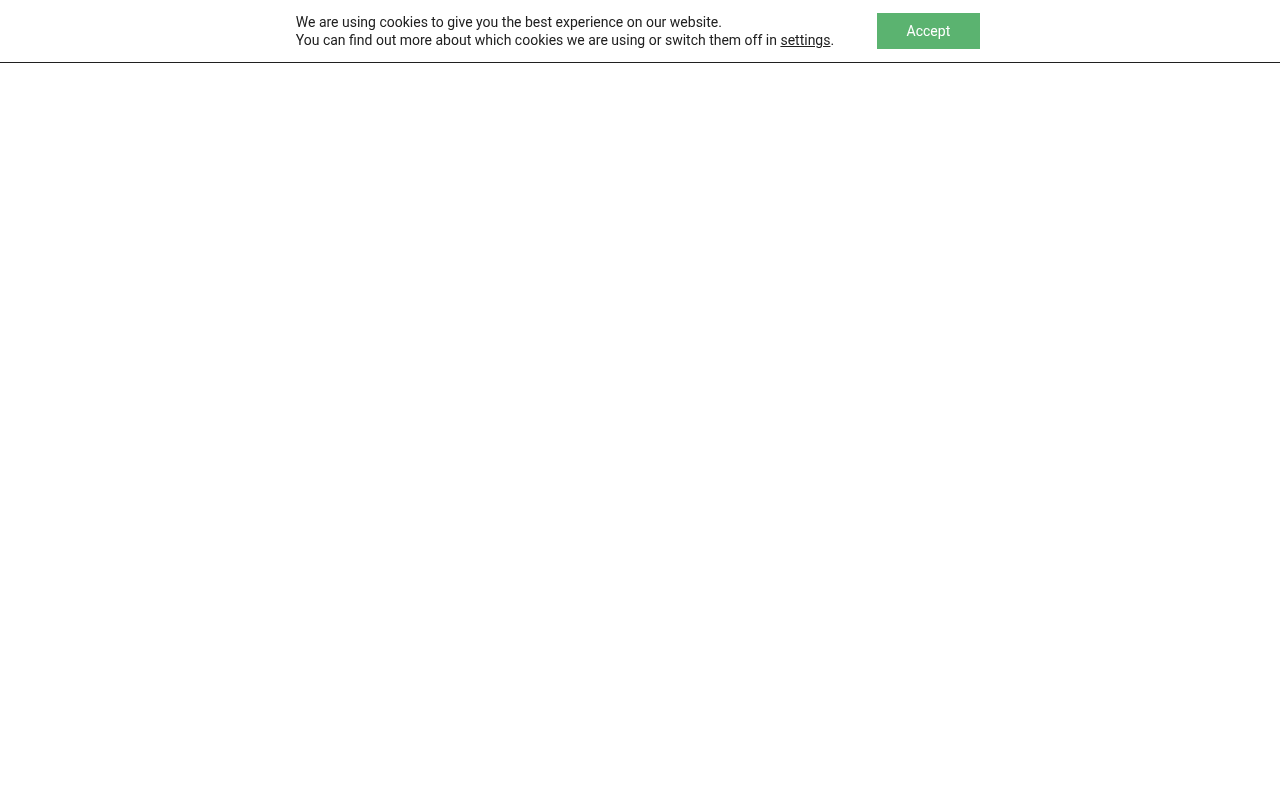 Intinor homepage screenshot
