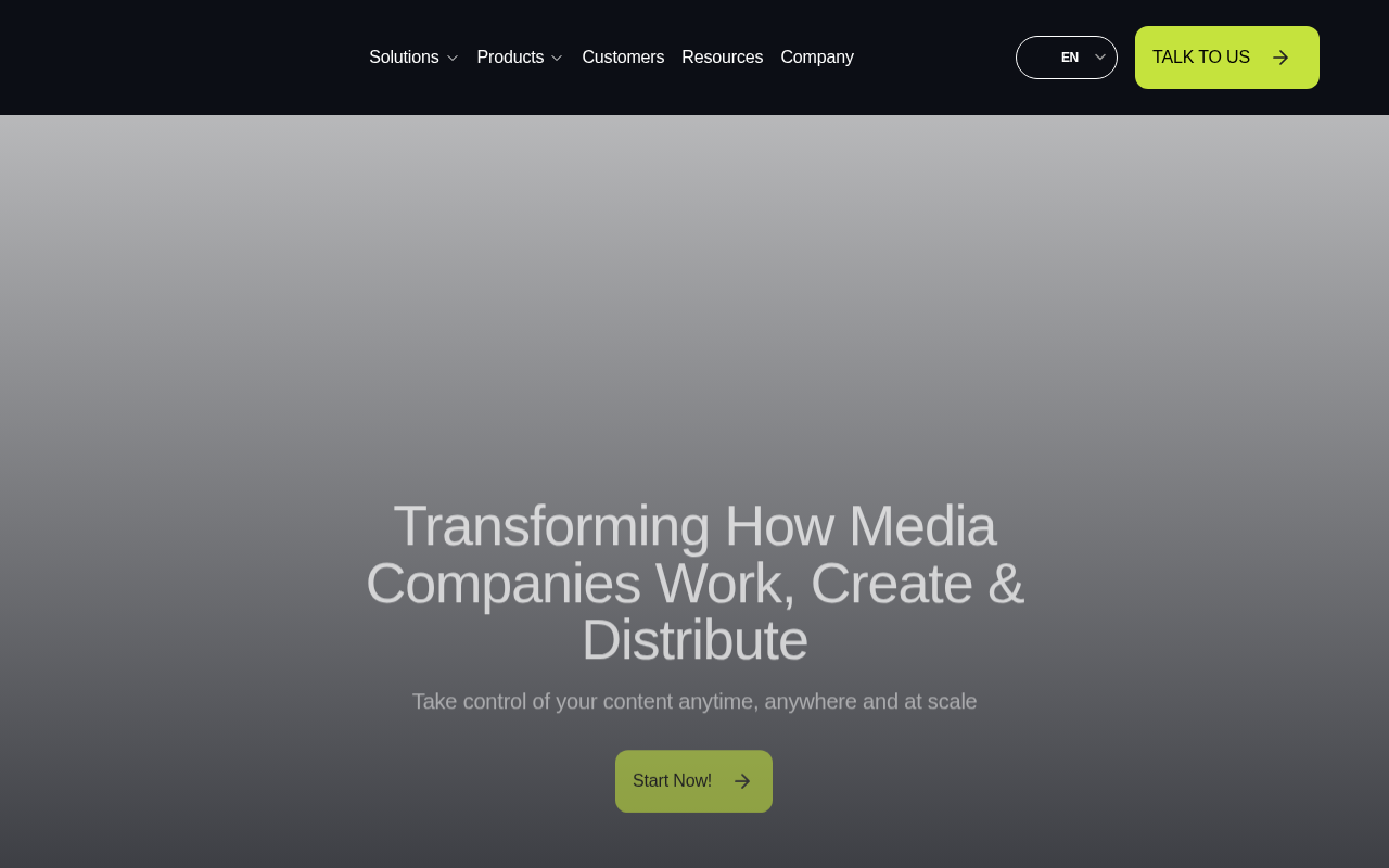 VSN (Video Stream Networks) homepage screenshot